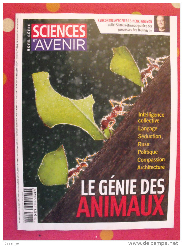 Lot De 6 Revues Sciences Et Avenir 2011-2015 - Scienze