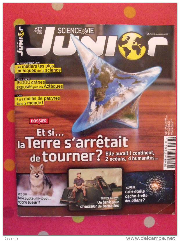 Lot De 2 Revues Science Et Vie Junior HS N° 113 (2015) Et N° 317 (2016) - Ciencia