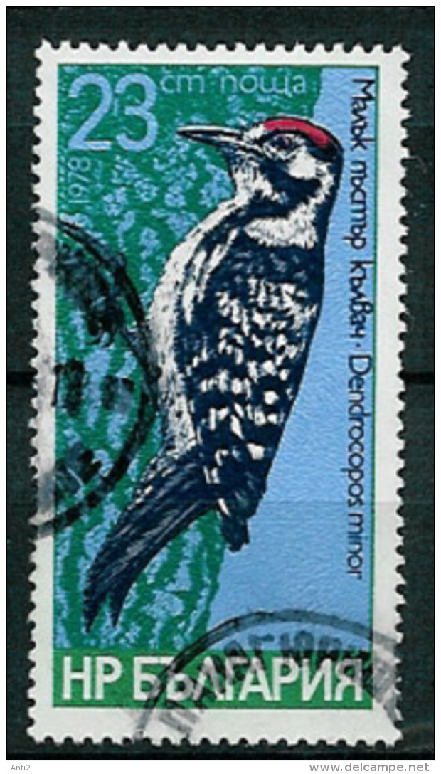 Bulgaria 1978 Birds, Lesser Spotted Woodpecker (Dendrocopos Minor), Mi 2705, Cancelled(o) - Pics & Grimpeurs