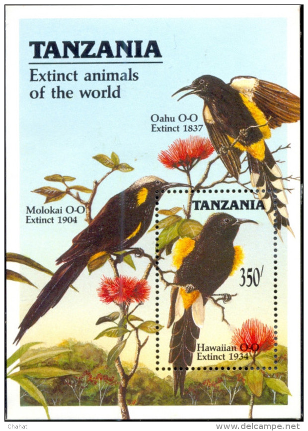 BIRDS-HAWAIIAN O-O - EXTINCT ANIMALS-MS-TANZANIA-SCARCE-MNH-D1-32 - Pics & Grimpeurs