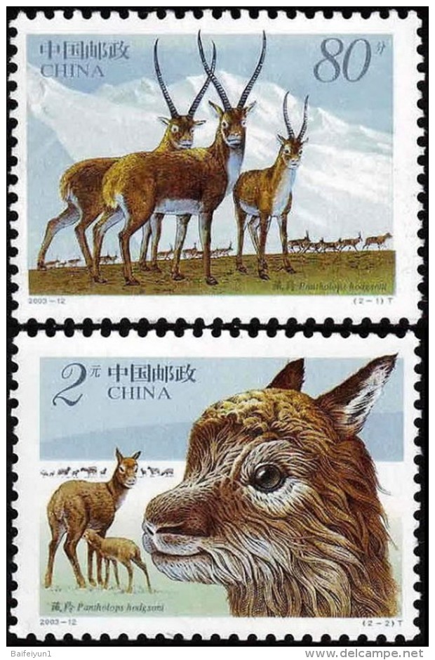 China 2003-12 Tibetan Antelope Stamps - Animal Deer - Ungebraucht