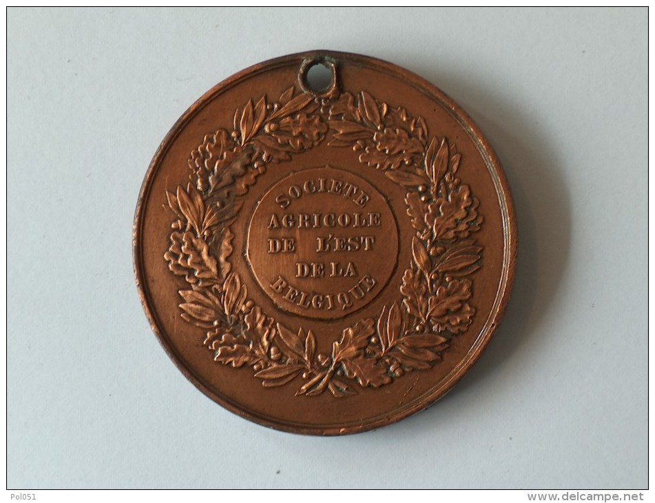 MEDAILLE LEOPOLD I ROI DES BELGES SOCIETE AGRICOLE DE L EST DE LA BELGIQUE - Professionali / Di Società