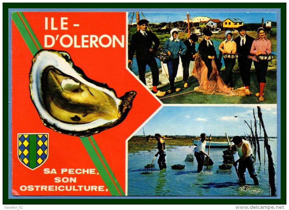 CPSM Ile D' Oléron Sa Pêche Son Ostréiculture écrite 1978 Blason Huitre - Ile D'Oléron
