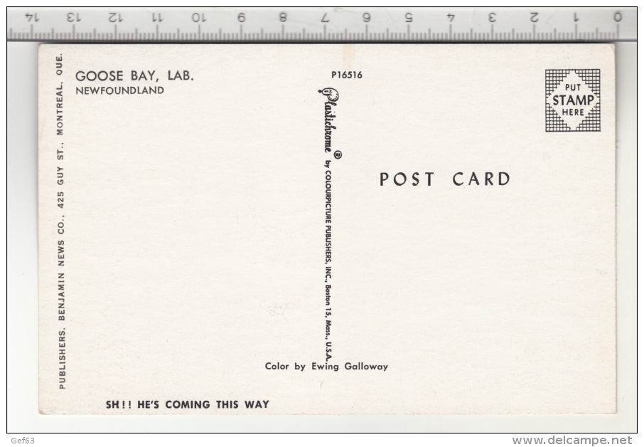 Goose Bay - Newfoundland - Other & Unclassified