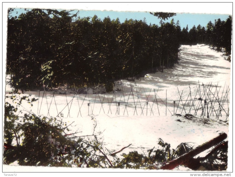 CHALMAZEL / PISTE DES GRANGES - Autres & Non Classés