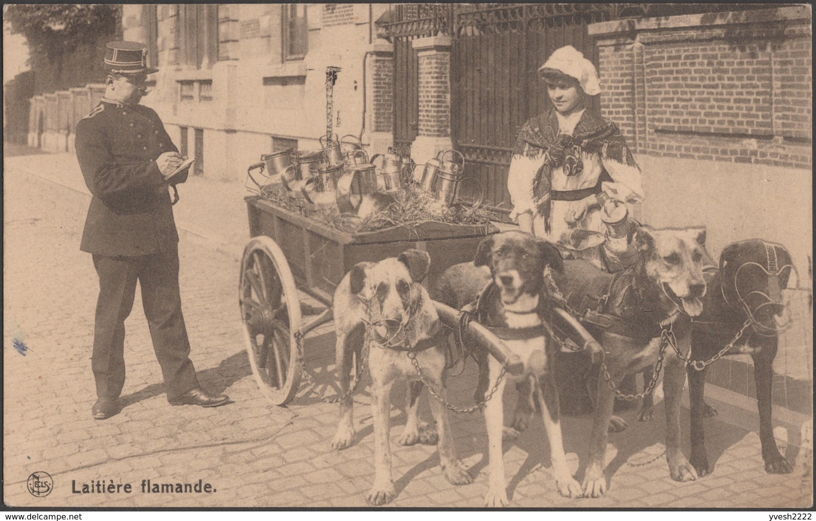 Belgique 1923. Carte Postale Laitière Flamande. Quatre Chiens Tirant Une Charrette. Policier Dressant Une Contravention. - Dogs