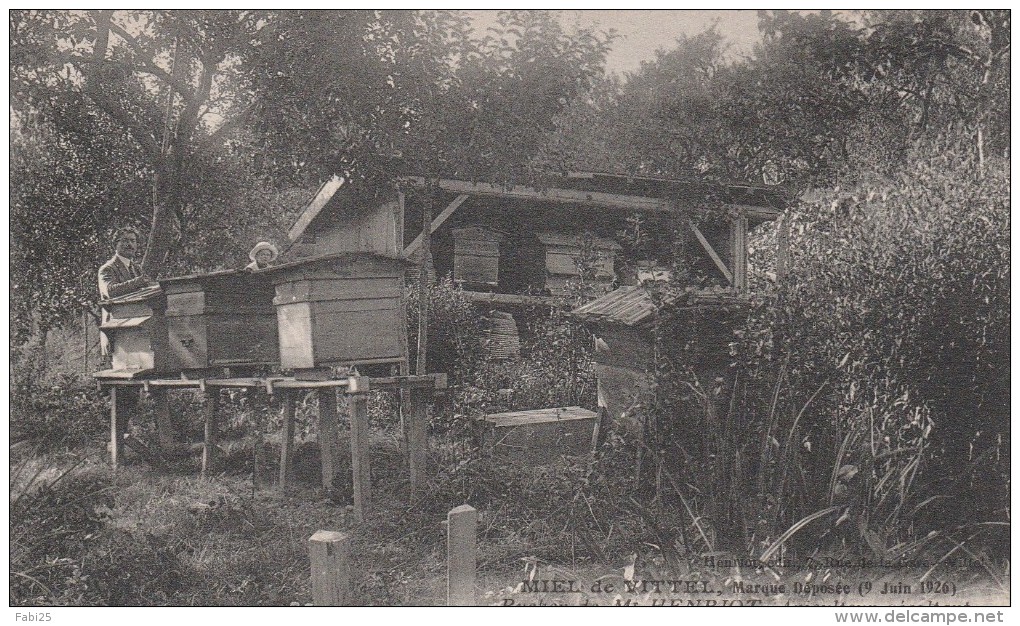 VITTEL MIEL DE VITTEL RUCHER DE MR HENRIOT APICULTEUR APICULTURE MIEL - Contrexeville