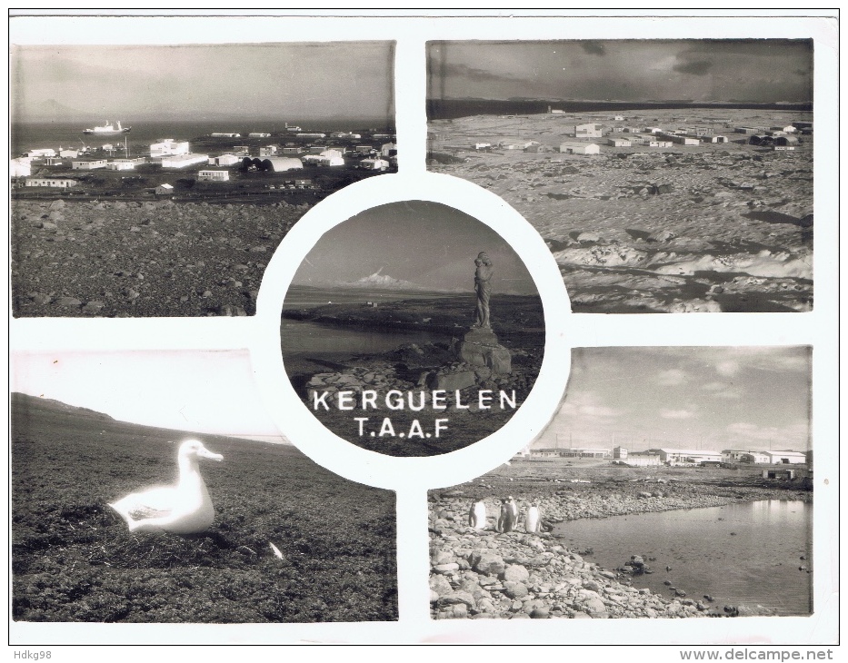ZX Kerguelen+ Ansichten - TAAF : French Southern And Antarctic Lands