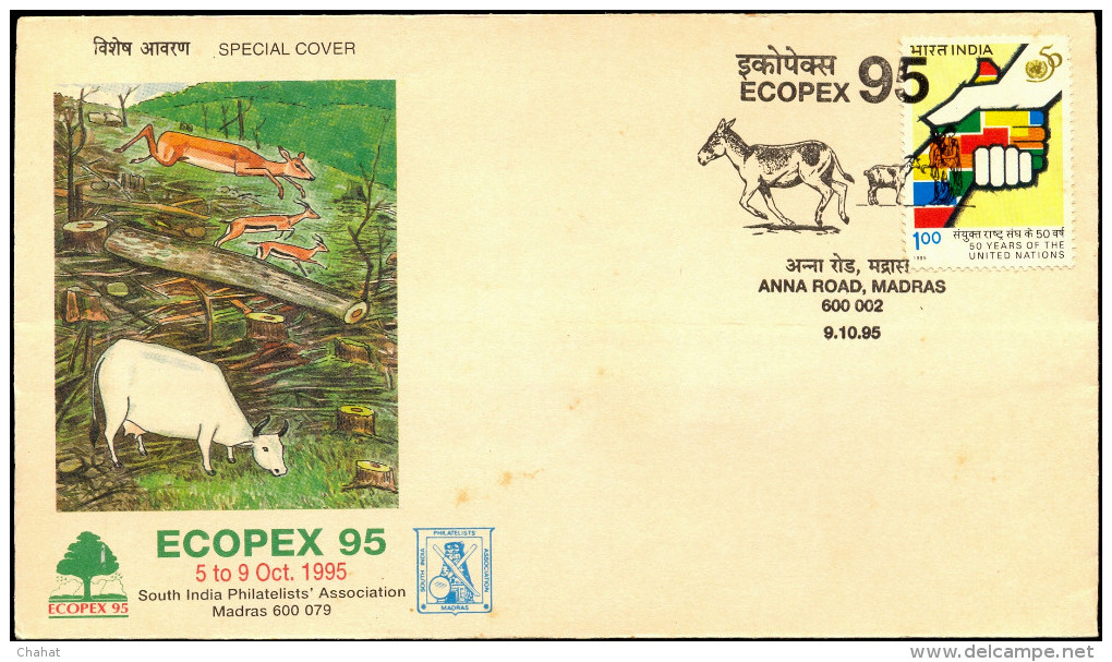 WILD LIFE-DONKEYS-WILD ASS-CONSERVATION-PICTORIAL CANCEL-ECOPEX 95-SPECIAL COVER-INDIA-1995-BX1-349 - Anes