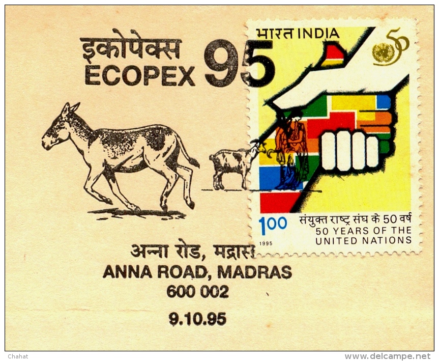 WILD LIFE-DONKEYS-WILD ASS-CONSERVATION-PICTORIAL CANCEL-ECOPEX 95-SPECIAL COVER-INDIA-1995-BX1-349 - Anes