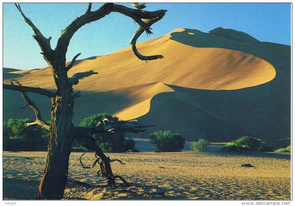 ZX Namibia+ Namib Stern-Sanddüne - Namibië