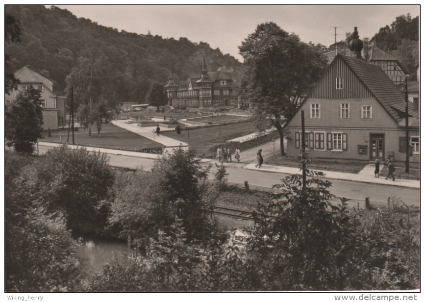 Harzgerode Alexisbad - S/w Teilansicht 1 - Harzgerode