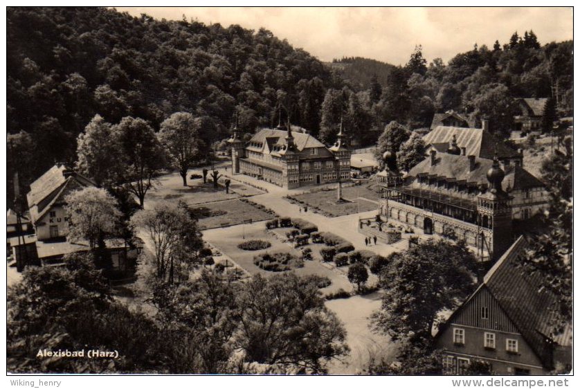 Harzgerode Alexisbad - S/w Teilansicht 3 - Harzgerode