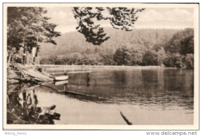 Harzgerode Güntersberge - S/w Am See - Harzgerode