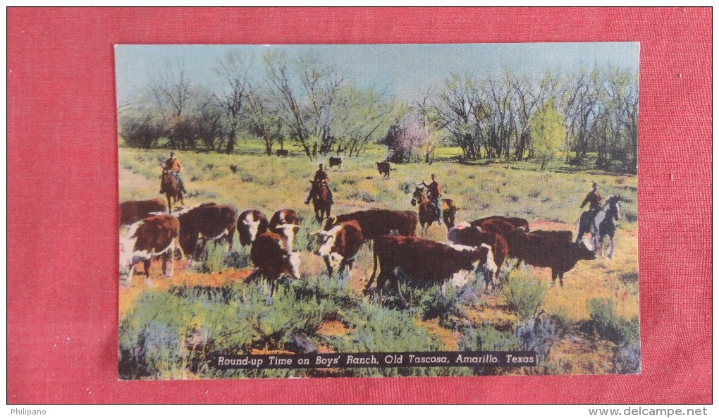 -  Round Up Time On Boys Ranch Texas> Amarillo ====== =   Ref  2180 - Amarillo