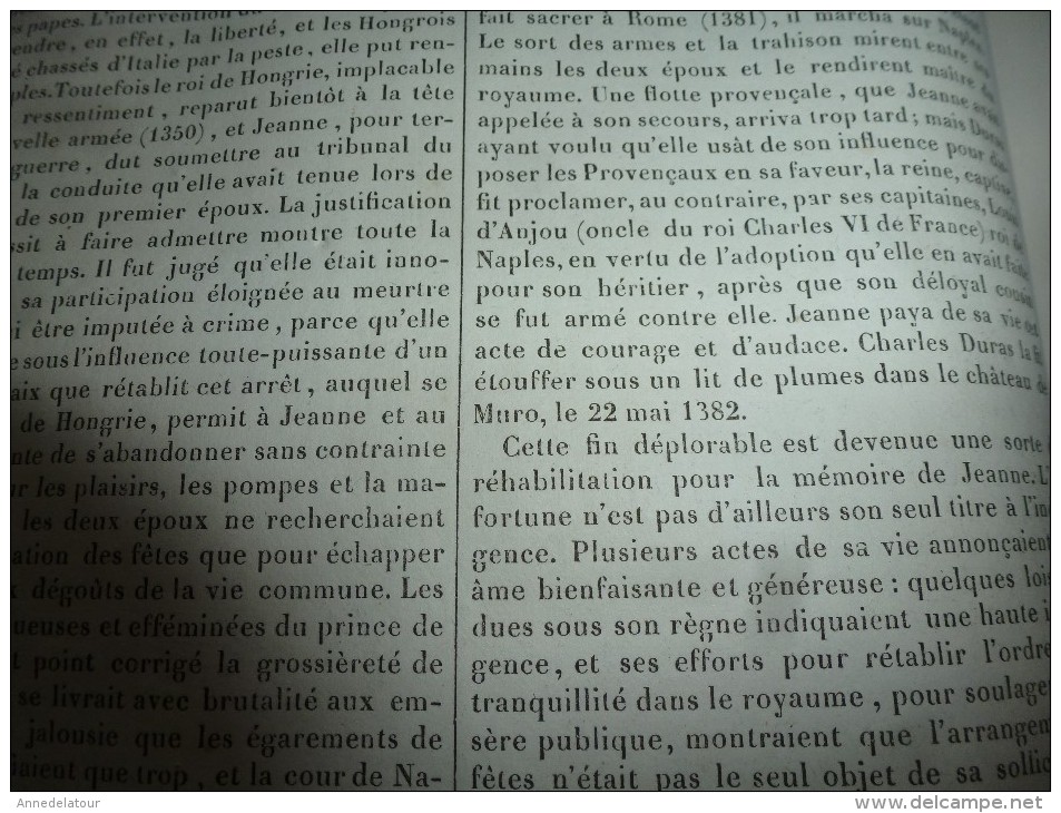 1834 LM : Le Palais De Jeanne De NAPLES; L'HIBIS Sacré, Selon Buffon; Le Buffle; Le TABAC; Le KUTTUB-MINAR  (Dehli) - Non Classés