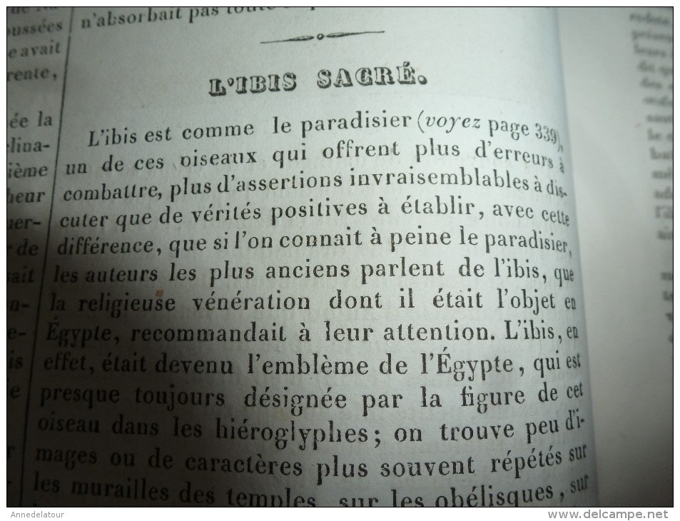 1834 LM : Le Palais De Jeanne De NAPLES; L'HIBIS Sacré, Selon Buffon; Le Buffle; Le TABAC; Le KUTTUB-MINAR  (Dehli) - Non Classés