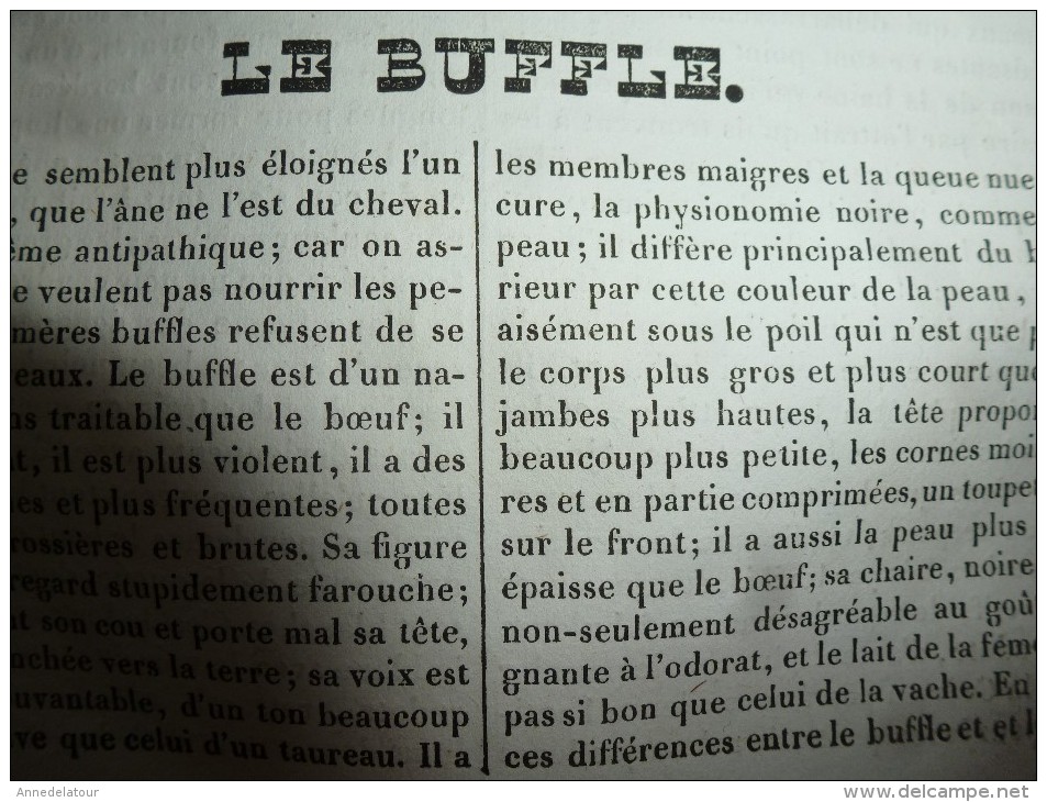 1834 LM : Le Palais de Jeanne de NAPLES; L'HIBIS sacré, selon Buffon; Le Buffle; Le TABAC; Le KUTTUB-MINAR  (Dehli)