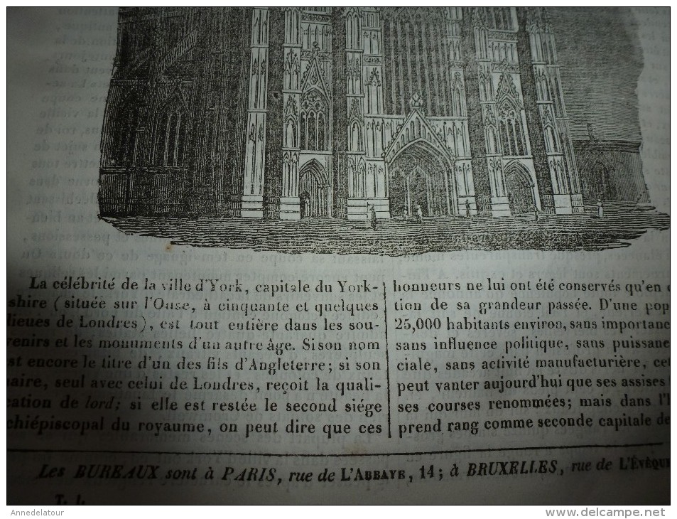 1834 LM :La Cathédrale D'YORK (Londres);Le Paradisier Rouge (oiseau); Château Et Pont Saint-Ange à ROME;  CHILPERIC - Non Classificati