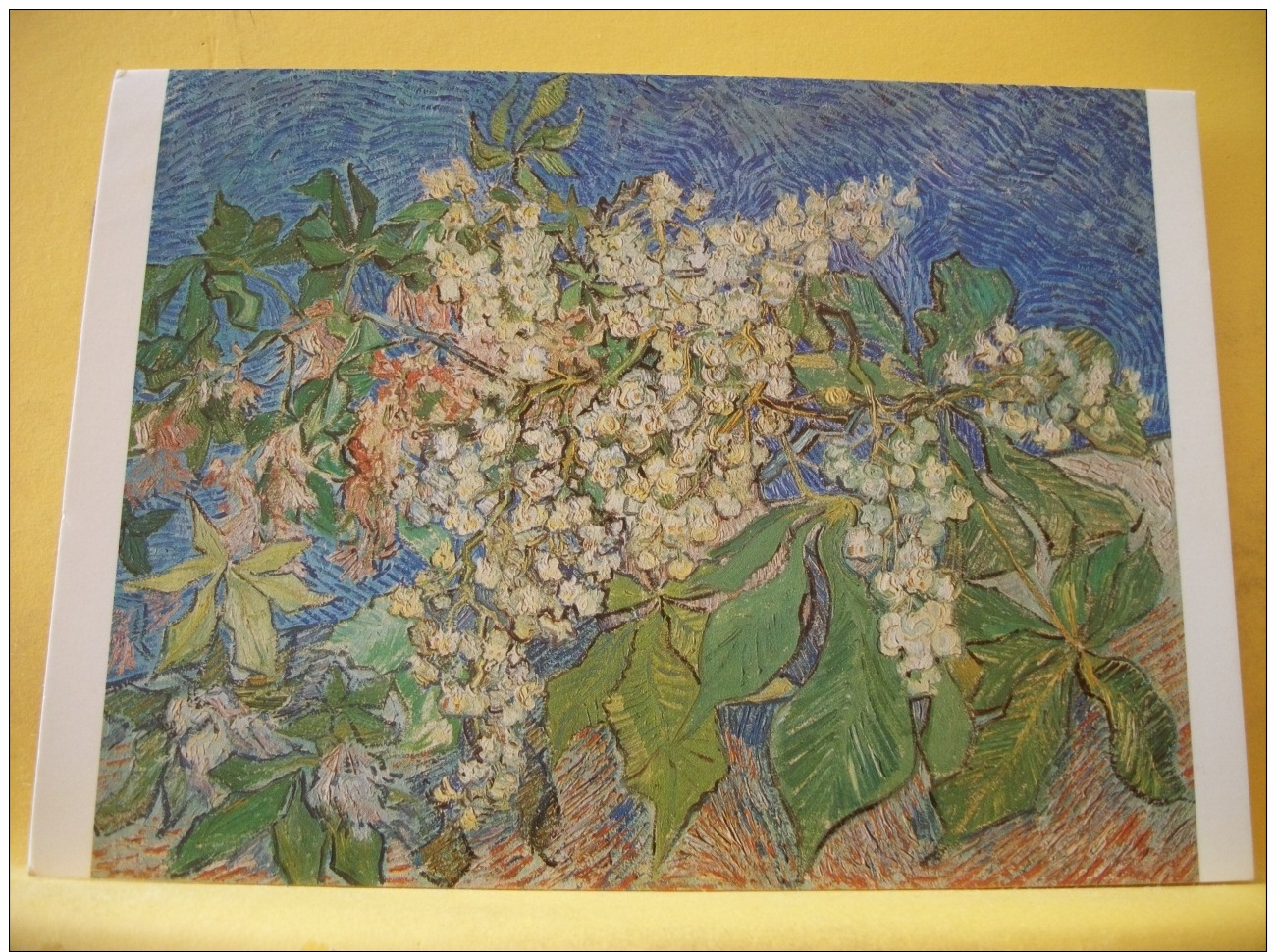 CPM 794 - VINCENT VAN GOGH - BRANCHES DE MARONNIER EN FLEURS - Peintures & Tableaux