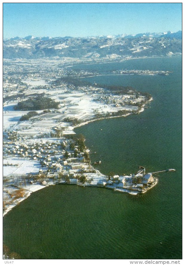 - Halbinsel WASSERBURG Im Bodensee Mit Blick Auf Lindau Und Vorariberger Berge. - Scan Verso - - Wasserburg A. Bodensee