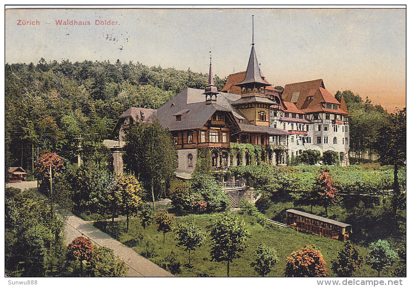 Zürich - Waldhaus Dolder (tram, Colorisée, Carl-Künzli-Tobler, CTK, 1910) - Wald