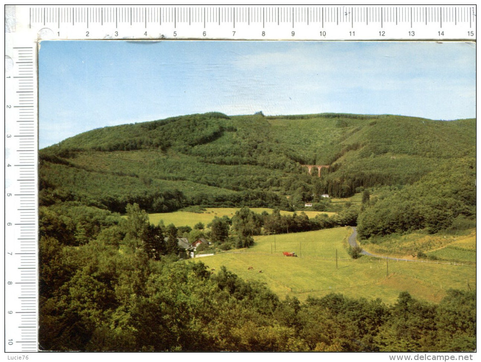 WITTLICH    -  Blick  Auf  Unkenstein  Und   Viadukt - Wittlich