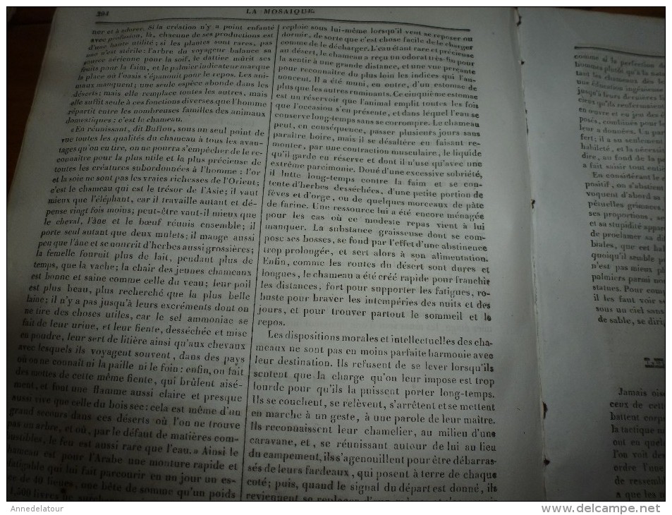 1834 LM :Sainte-Gudule à Bruxelles;Le phare de BELL-ROCH (Scotland);Le Chameau; Le COMBATTANT(oiseau);TROMBOË (Laponie)