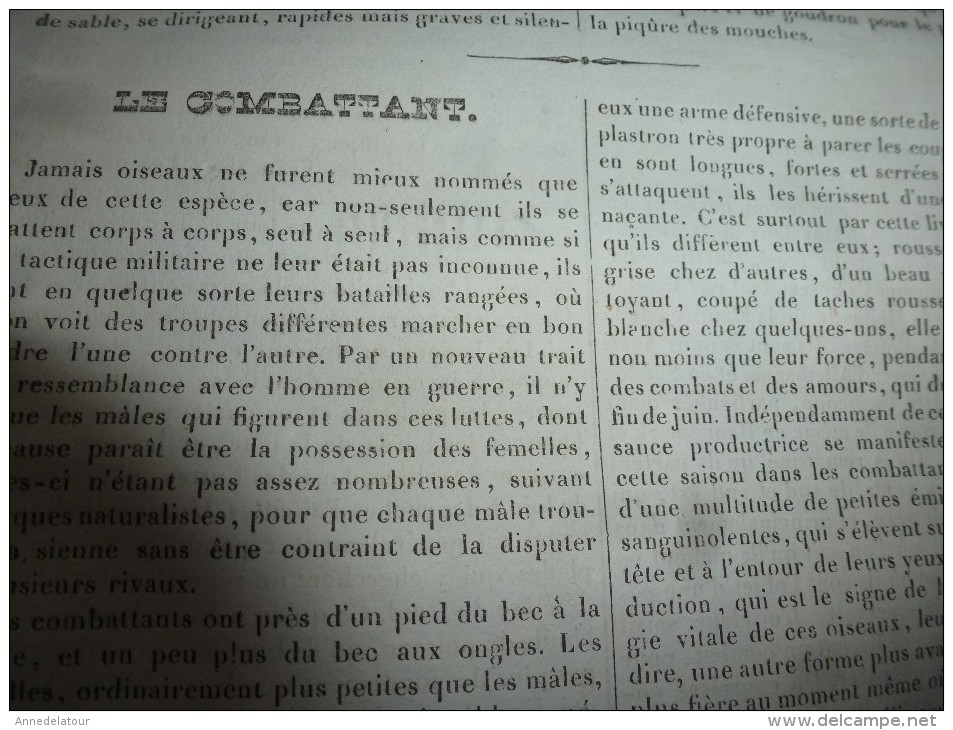 1834 LM :Sainte-Gudule à Bruxelles;Le phare de BELL-ROCH (Scotland);Le Chameau; Le COMBATTANT(oiseau);TROMBOË (Laponie)