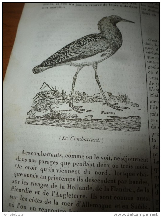 1834 LM :Sainte-Gudule à Bruxelles;Le phare de BELL-ROCH (Scotland);Le Chameau; Le COMBATTANT(oiseau);TROMBOË (Laponie)