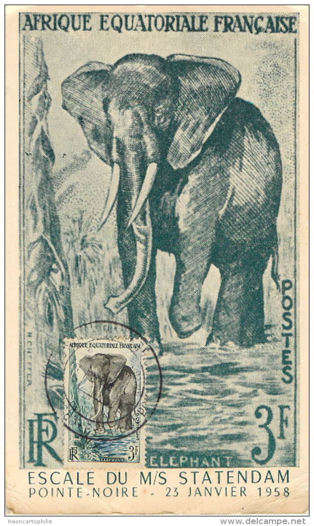 Pointe Noire Carte Maximum éléphant - Pointe-Noire