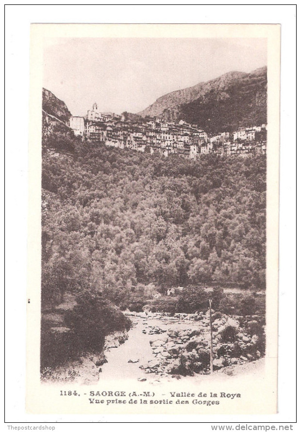 CPA 06 SAORGE Vallée De La Roya VUE PRISE DE LA SORIE DES GORGES NON VOYAGEE UNUSED - Autres & Non Classés