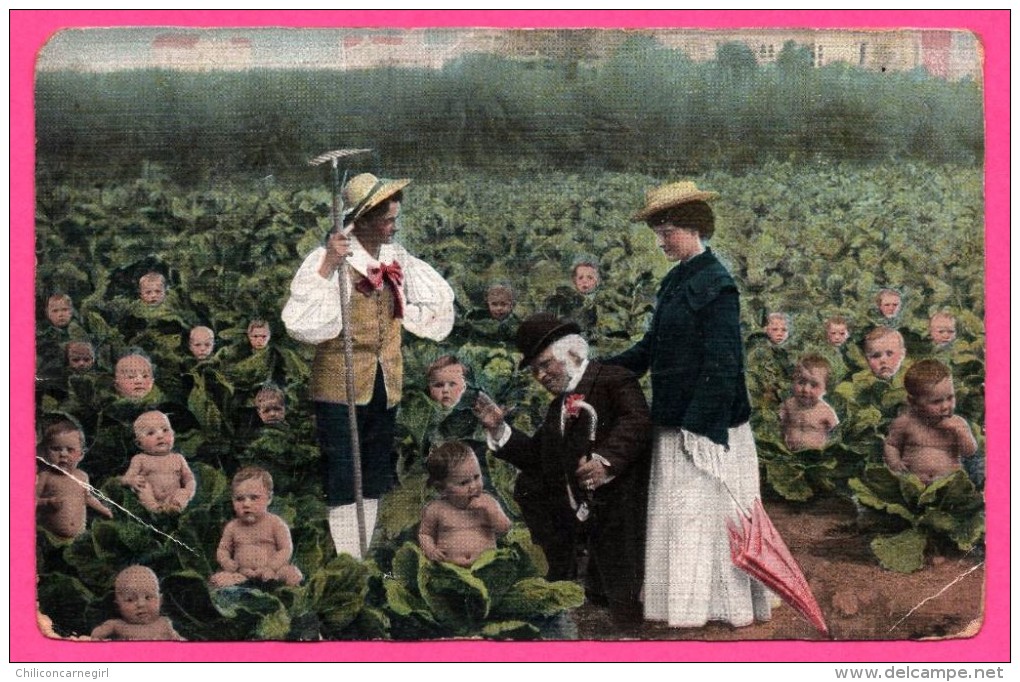 Fantaisie - Photo Montage - Bébés Dans Les Choux - Champs - Femme - Fermier - Colorisée - Série 346 - 1903 - Bebes