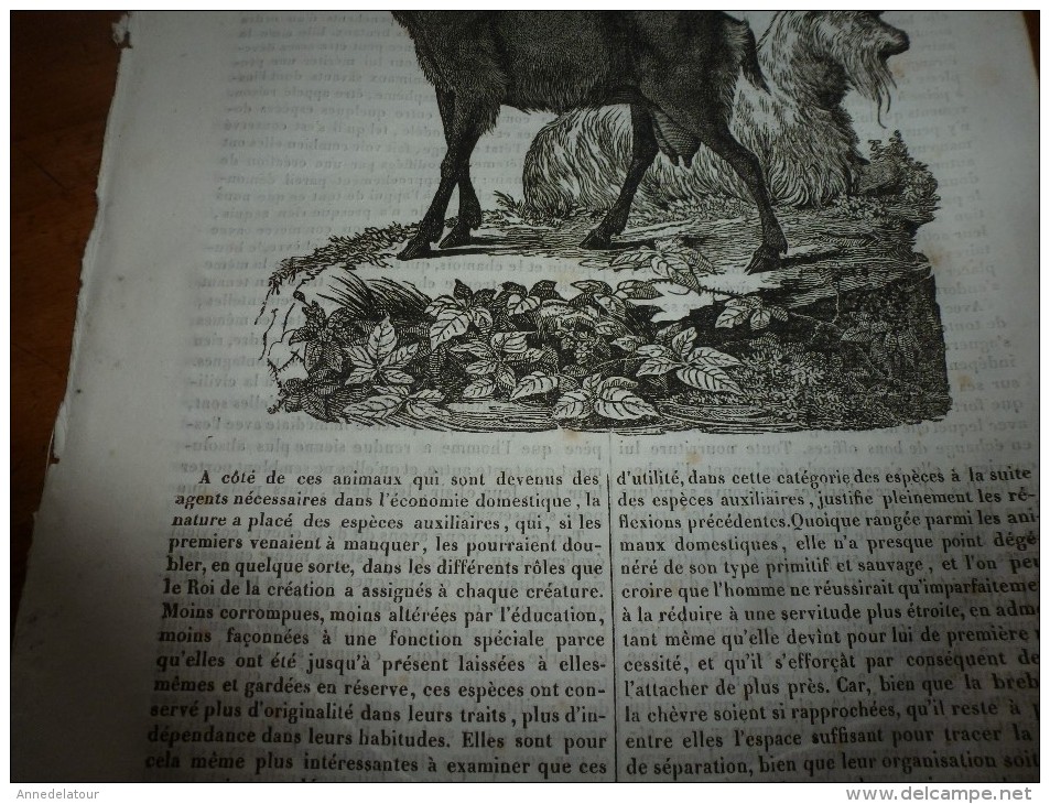 1834 LM : Chèvre Et Bouc; Le Bananier;FLORENCE Et Le PONT De La CARRAJA;Le Montagnard Et Le Chevreuil;Porte St-Antoine - Non Classés