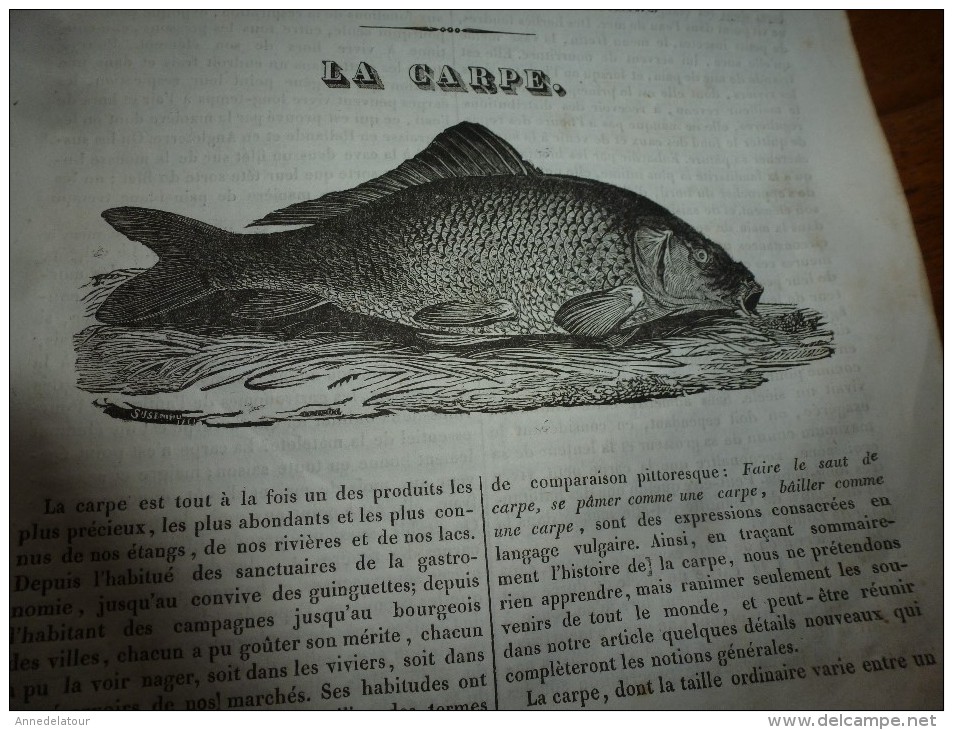 1834 LM : Temple d'APOLLINOPOLIS;Les chiens BARBETS;La carpe; Combat incroyable d'un AIGLE et d'une BELETTE ; Mérovée