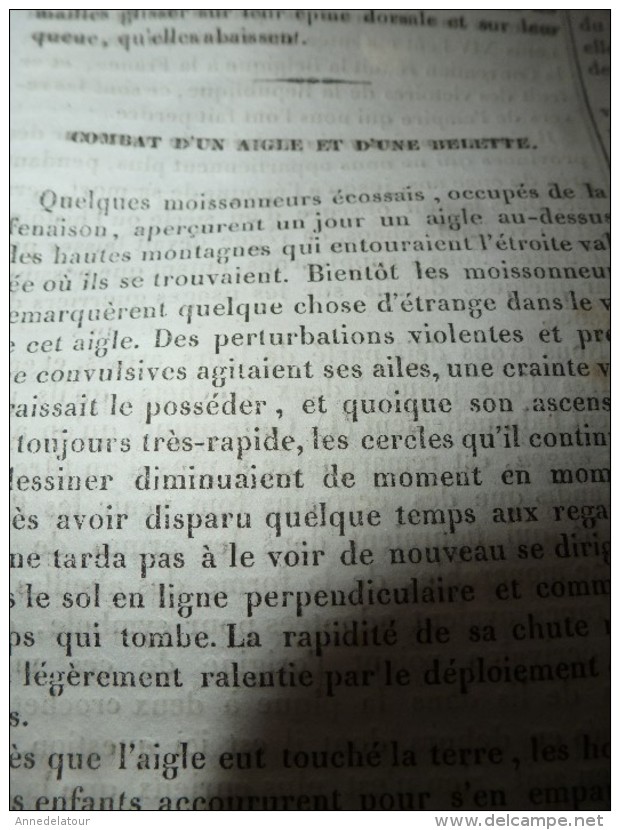 1834 LM : Temple d'APOLLINOPOLIS;Les chiens BARBETS;La carpe; Combat incroyable d'un AIGLE et d'une BELETTE ; Mérovée