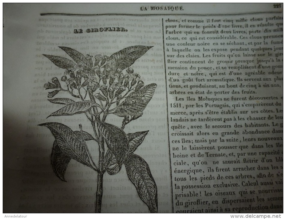 1834 LM : Palais De L'INSTITUT à Paris;Le Giroflier;Le TADORNE (oie-canard); Gravure --> Vue De L'ILE De MALTE; Léon X - Non Classés