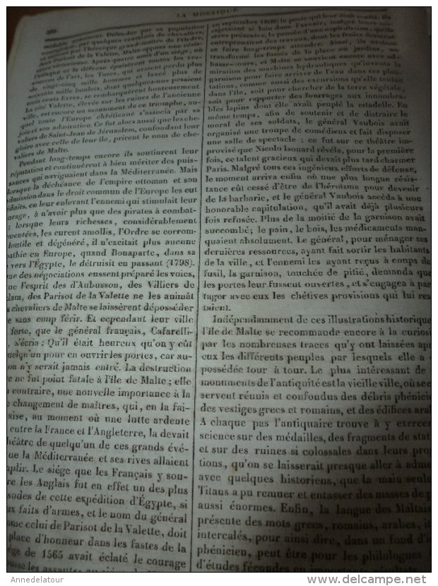 1834 LM : Palais de l'INSTITUT à Paris;Le giroflier;Le TADORNE (oie-canard); Gravure --> Vue de l'ILE de MALTE; Léon X