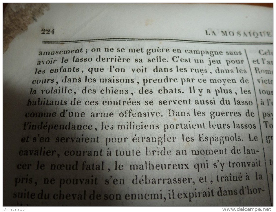 1834 LM : Le LOUP selon Buffon; L'ALHAMBRA (La Porte du Jugement,La Cour des Lions); PAMPAS,GAUCHOS et LASSO ; Claudion