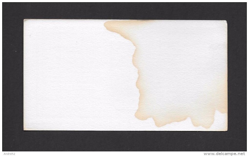 BUVARDS - BLOTTING PAPER - EXTRAIT DE FOIE DE MORUE DE WAMPOLE - HENRY K. WAMPOLE & CIE PERTH ON - 16 X 9cm - 6¼ X 3½ Po - Chemist's