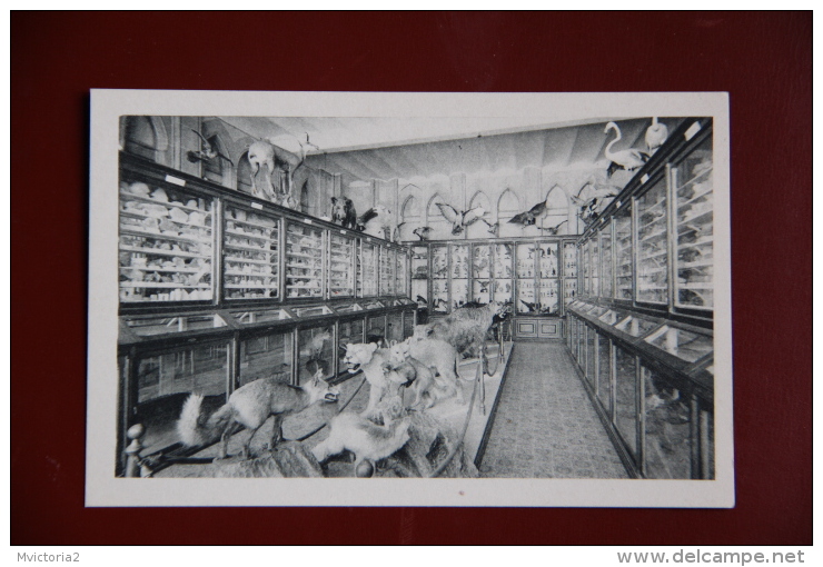 BARCELONA - Coleccion de 20 Postales del Colegio NUESTRA SENORA DE LA BONANOVA