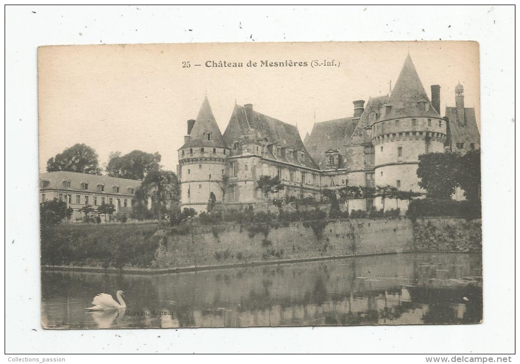 Cp , 76 , Château De MESNIERES , Vierge , Ed : Catala - Mesnières-en-Bray