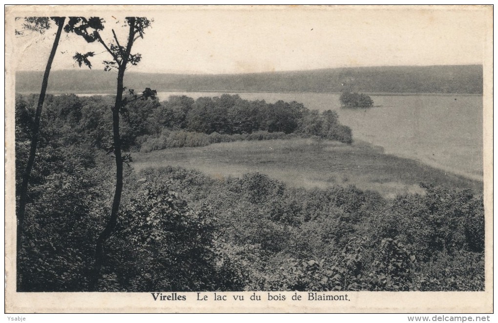 Virelles - Le Lac Vu Du Bois Blaimont - Chimay