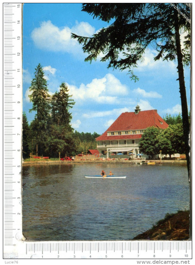 Waldseehotel  LINDENBERG    Im   ALLGAU - Lindenberg I. Allg.