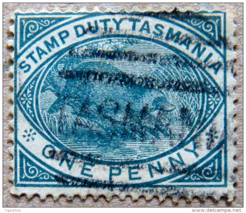 TASMANIA 1880 1d Platypus USED ScottAR24 CV$12 - Used Stamps