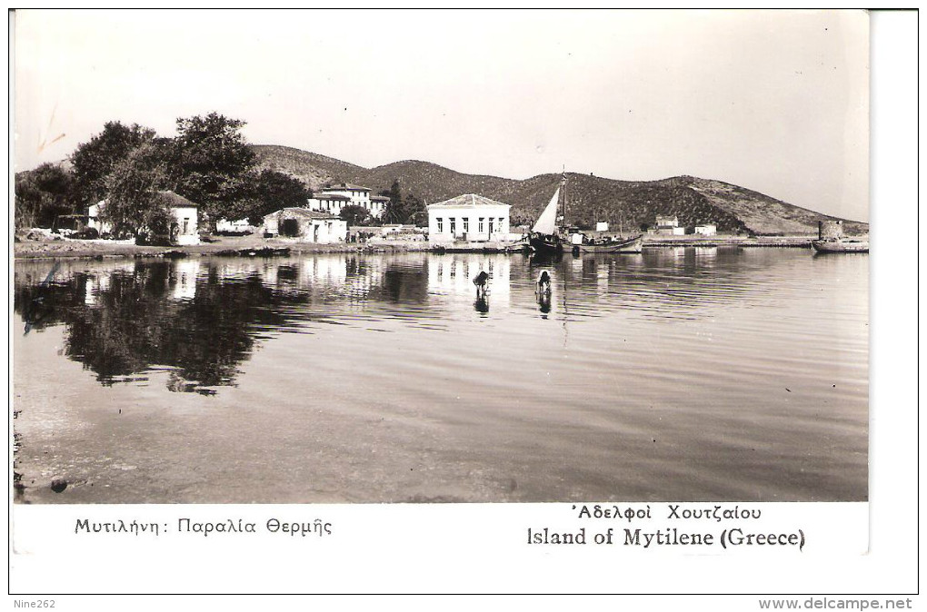 GRECE.....ISLAND OF MYTILENE.........LE PORT.....1959 - Griekenland