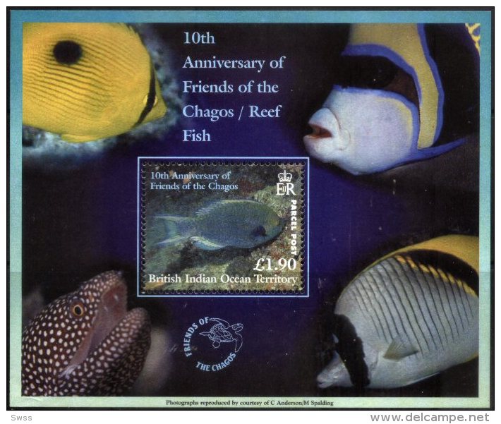 BIOT, 2002, FAUNA, REEF FISH, YV#B.19, SS, MNH - Territoire Britannique De L'Océan Indien