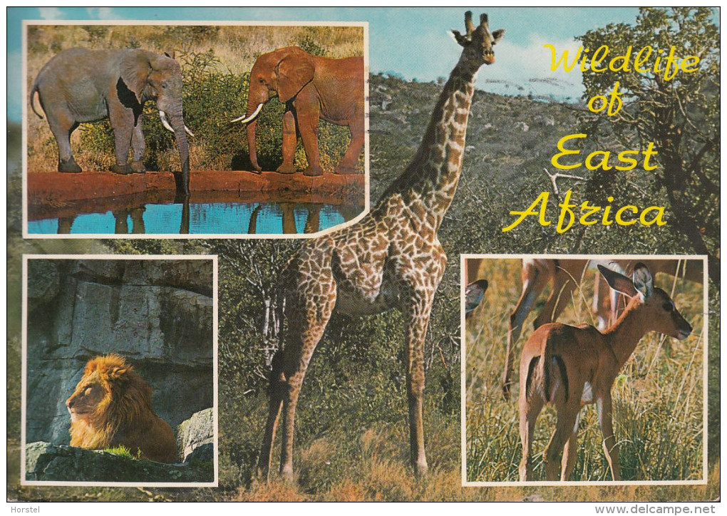 Kenia  East Afrika - Wildlife - Lion - Giraffe - Elephant - 2x Nice Stamps - Kenia