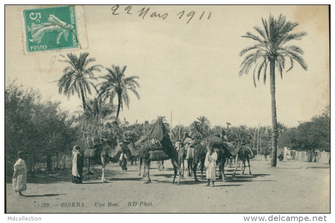 DZ BISKRA / Une Rue / - Biskra