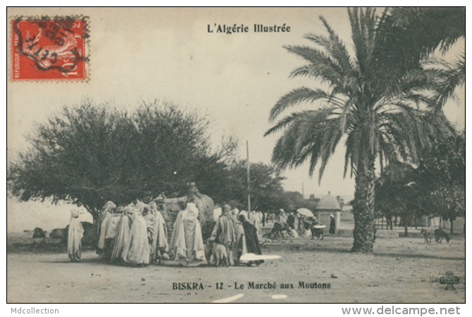 DZ BISKRA / Le Marché Aux Moutons / - Biskra